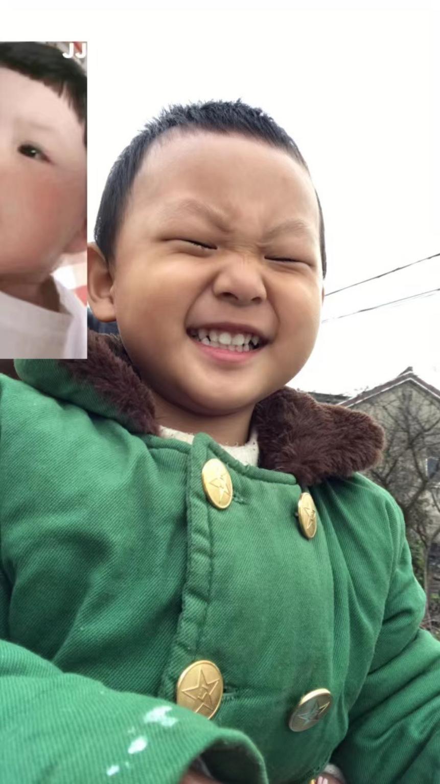 七只熊
