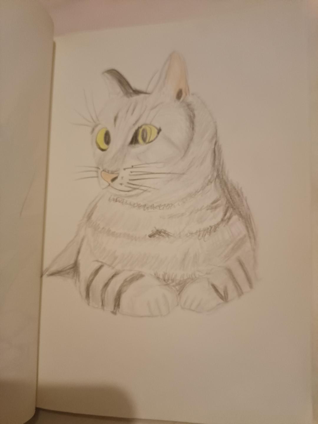 学彩铅画画