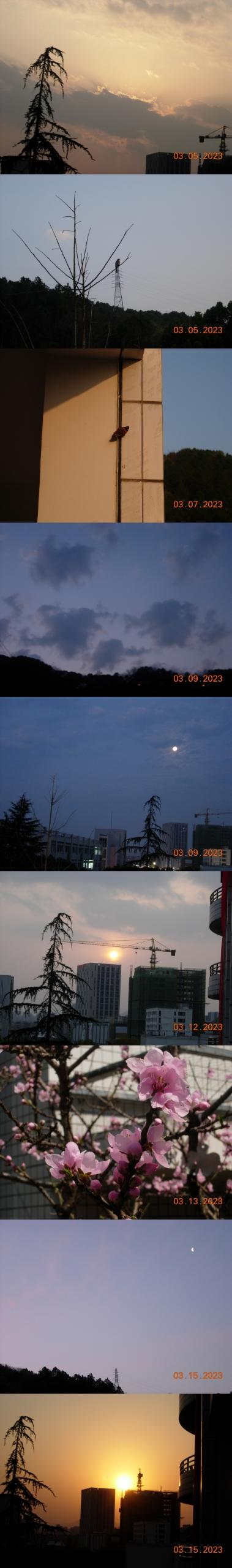 Chia清#天天开心:)