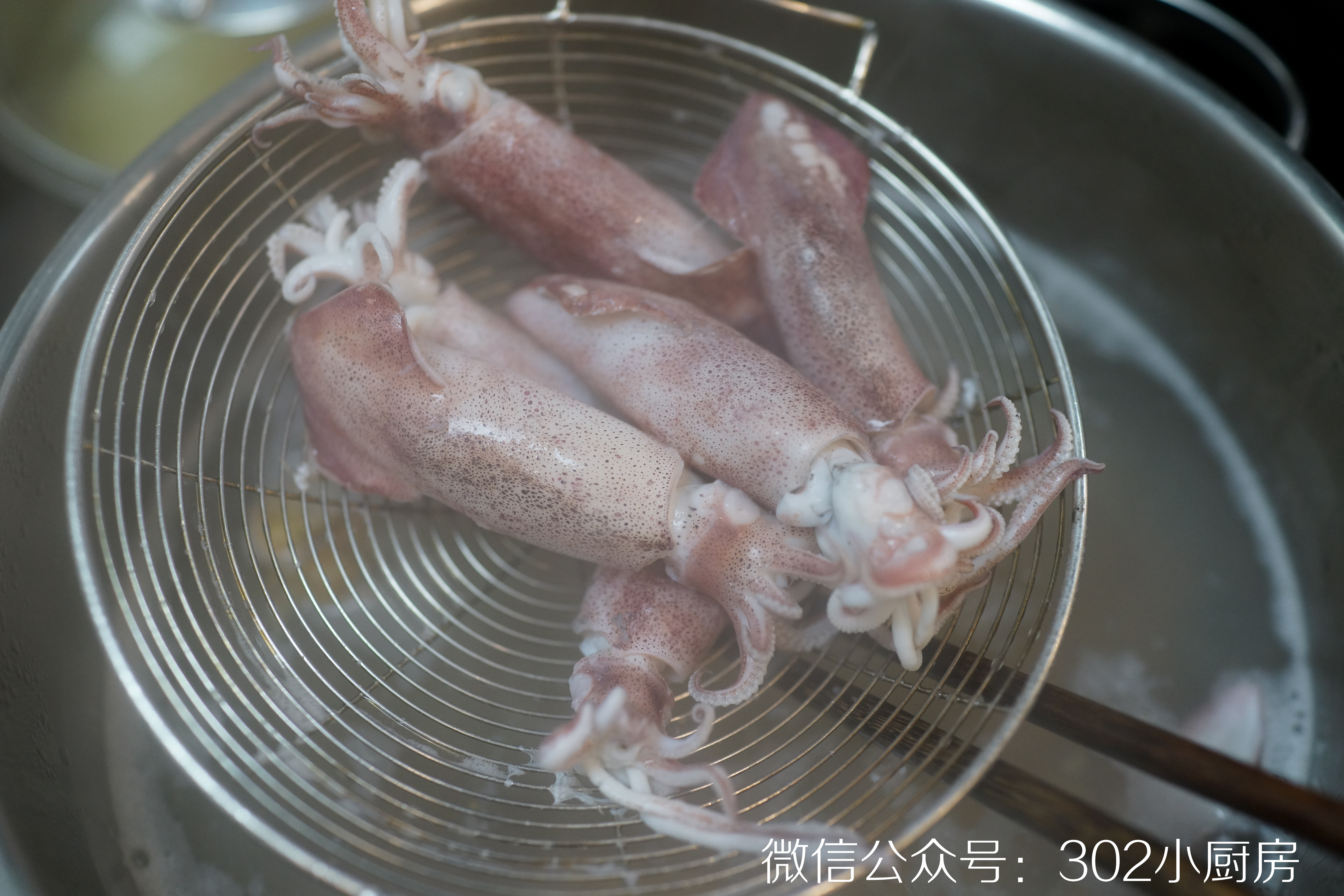 白灼小管鱿鱼（含香葱姜蓉料汁做法）<302小厨房>的做法 步骤9
