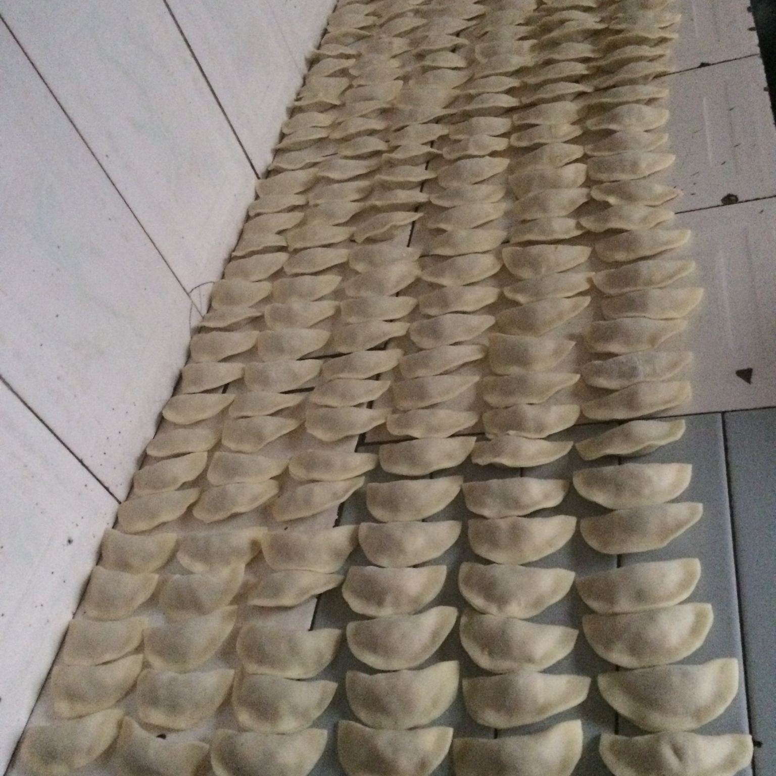 白菜猪肉水饺
