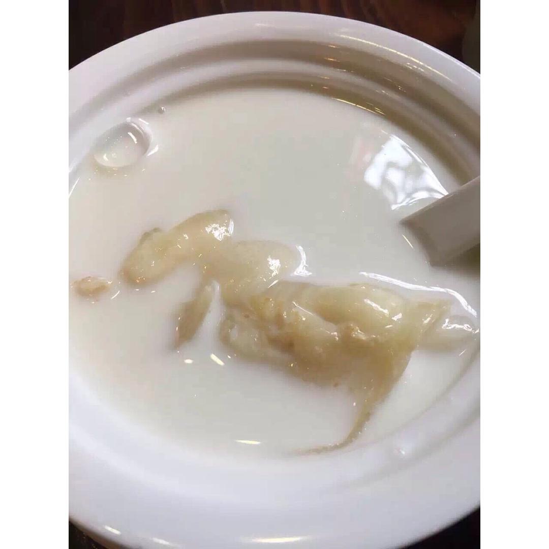 牛奶炖花胶