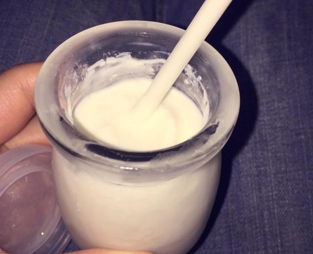 酸奶机酸奶的做法