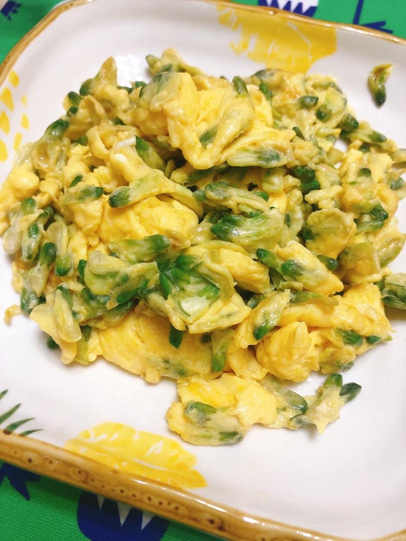 五月槐花香——槐花炒鸡蛋