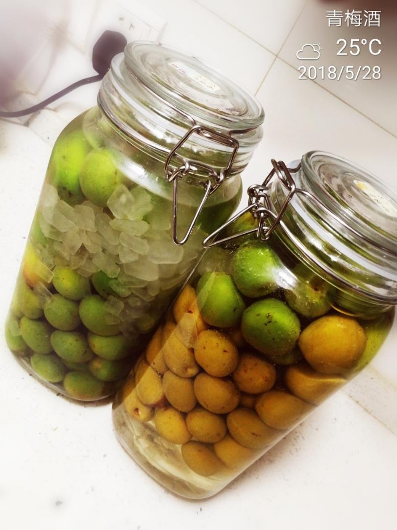 【青梅酒】梅子的沉醉时光（已填坑）