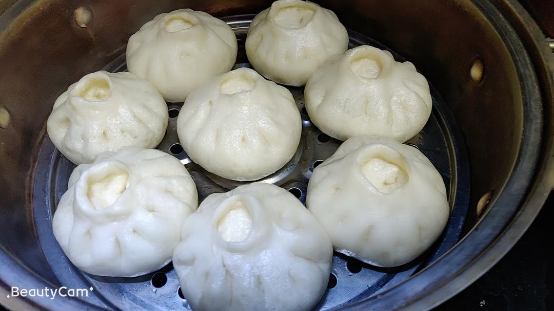 酱香猪肉冬瓜大包子