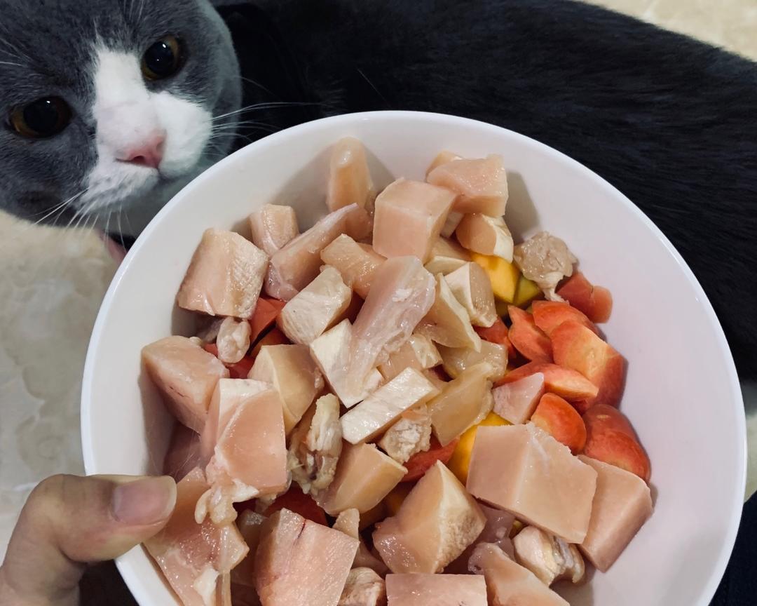 自制猫饭的做法