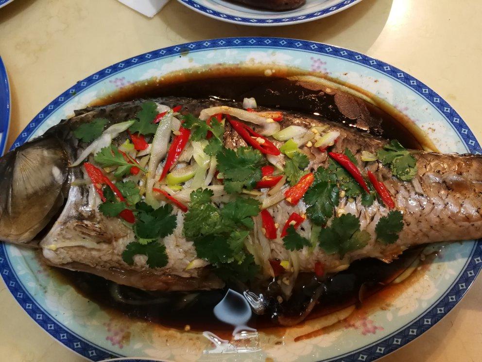 清蒸鲤鱼