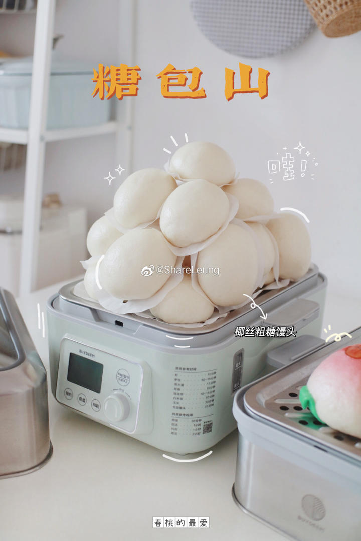 爱甜味党特定｜一次发酵｜椰丝砂糖馒头【北鼎蒸炖锅食谱】
