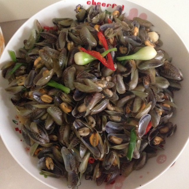 宠物精灵做的酱油水海瓜子