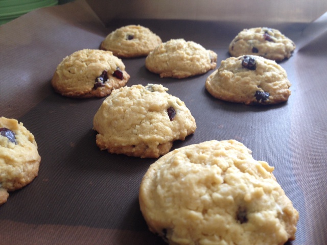 蔓越莓椰子曲奇 Cranberry & Coconut Cookies
