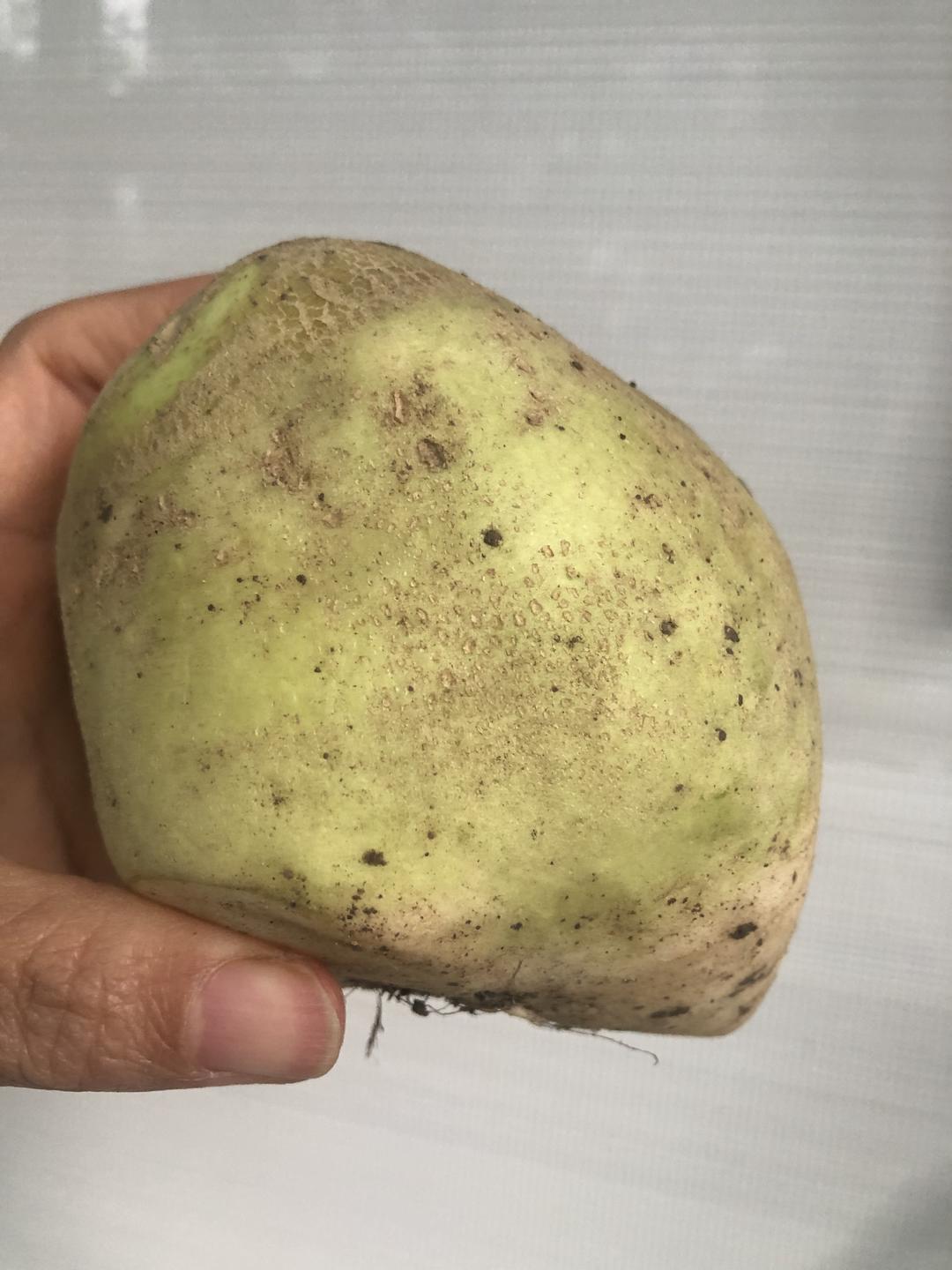 老味儿五香芥菜疙瘩头的做法