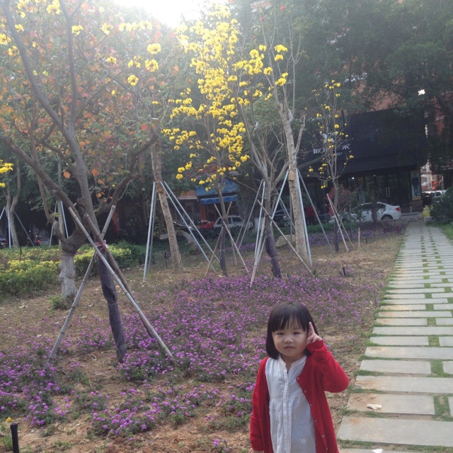 记录生活简单而美好的小确幸