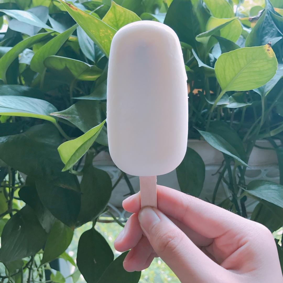 最简单快手的雪糕——酸奶雪糕（附变化版本）