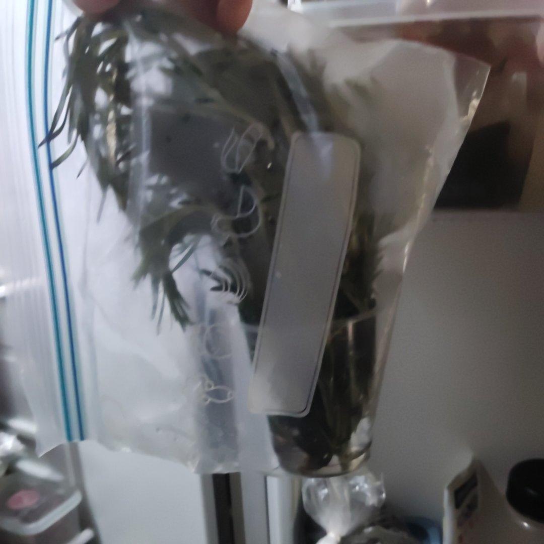 香菜保存方法：放冰箱养