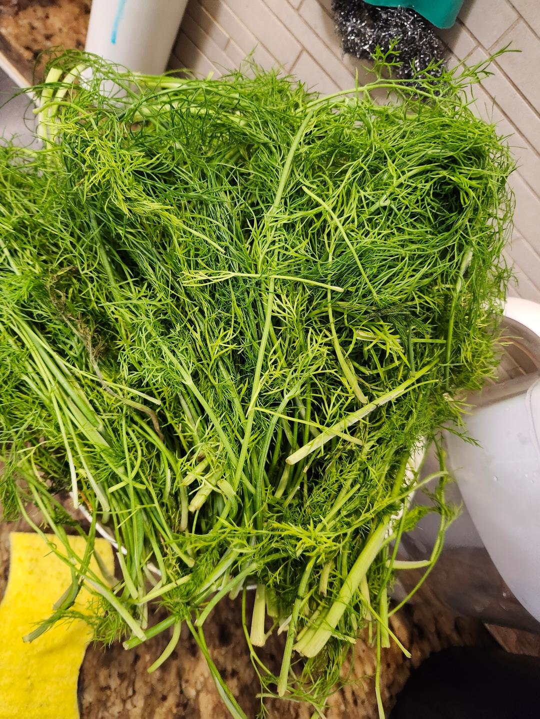 快手茴香煎饼的做法