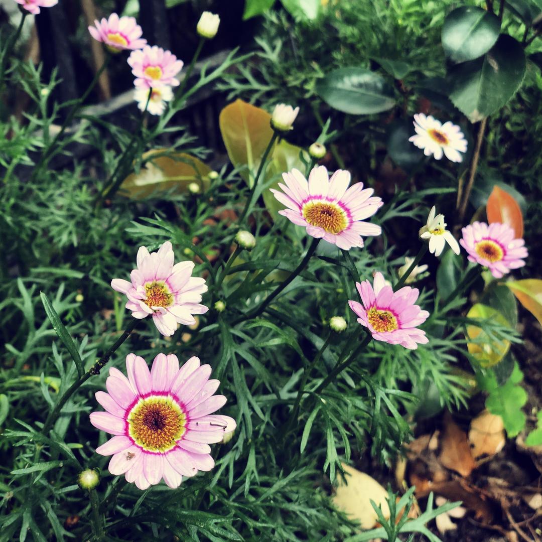 小韵韵和小丞盛