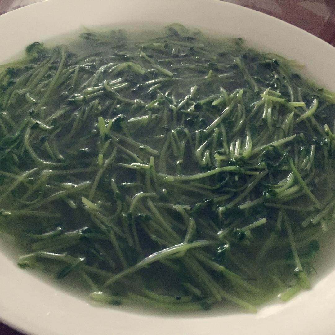 上汤豆苗