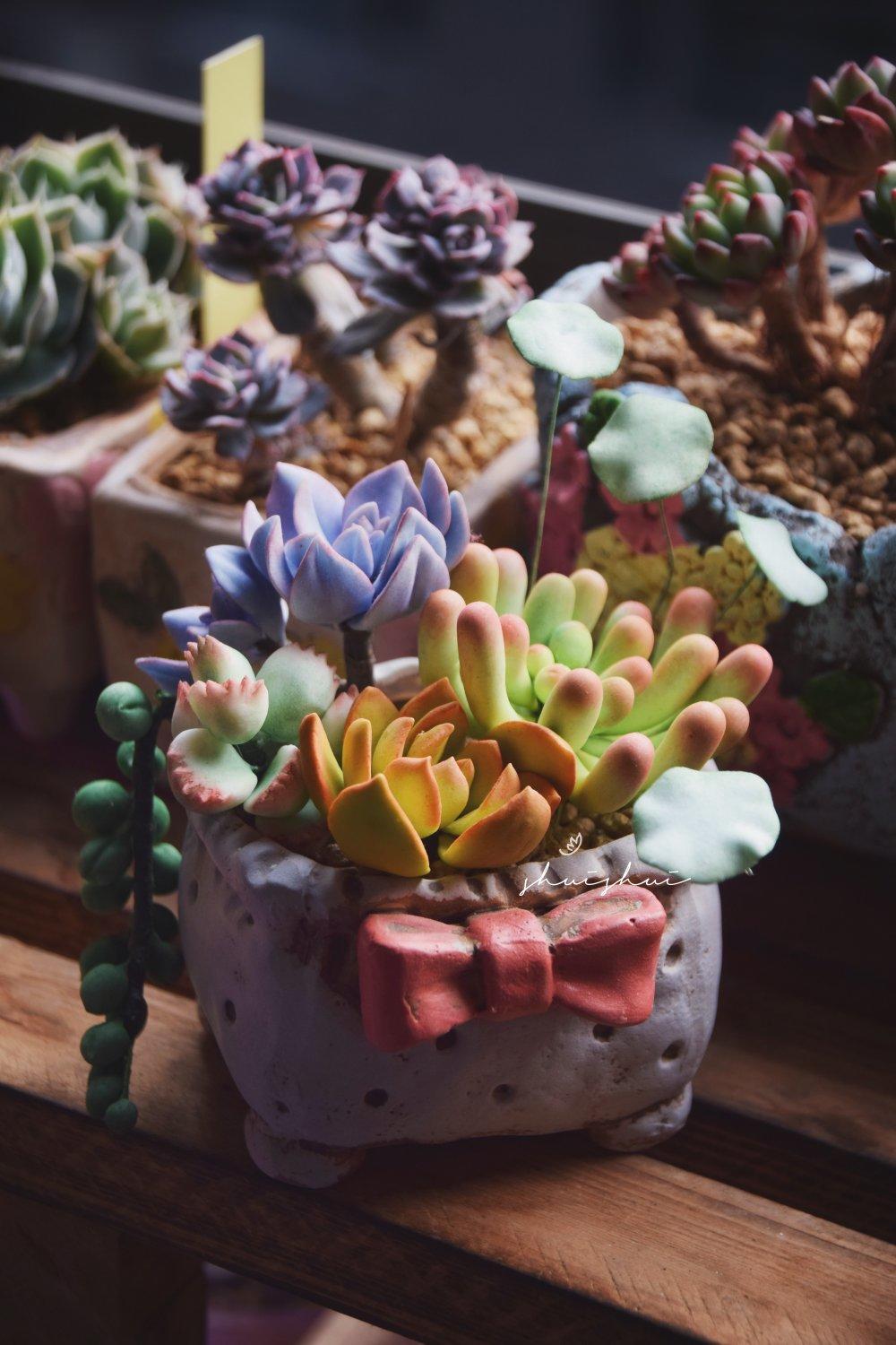 我和我的那些糖花🌸