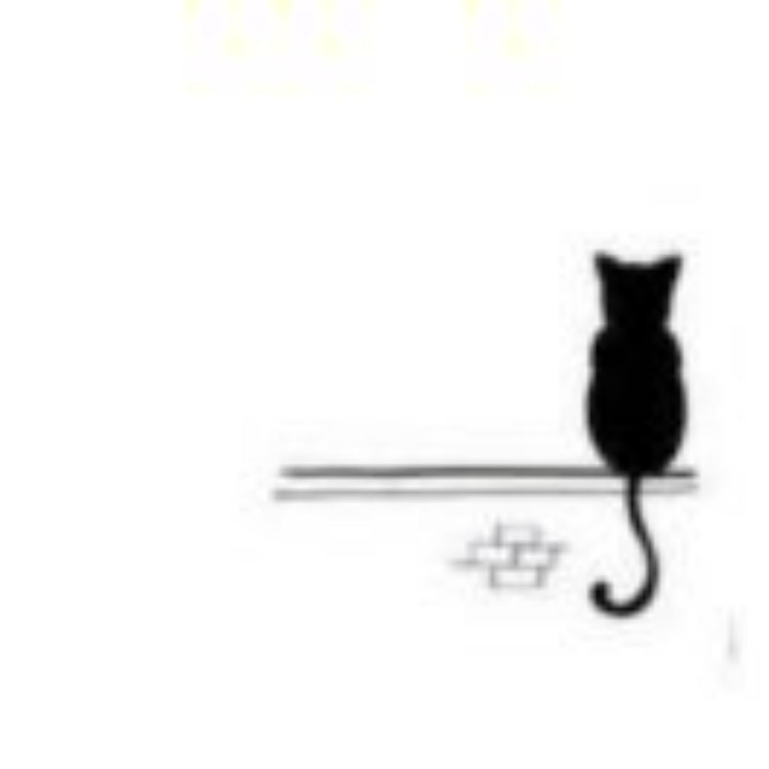 小猫不叫