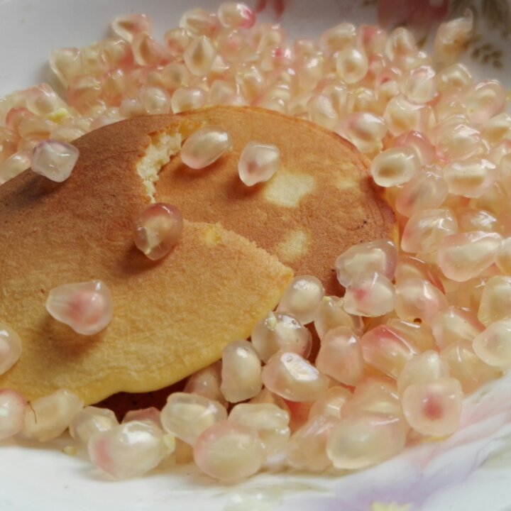 【小嶋rumi】原味松饼