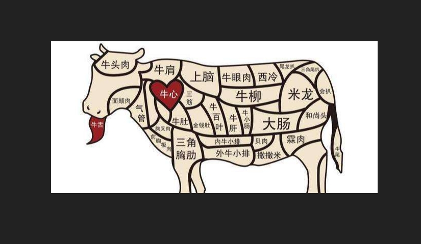 牛肉的部位图解与做法(来自度娘)的做法 步骤1