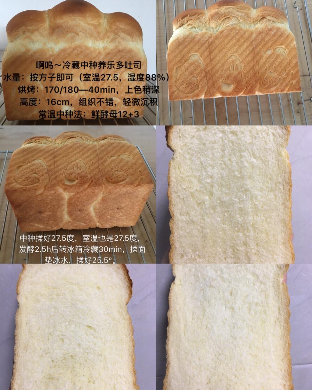 冷藏中种养乐多吐司