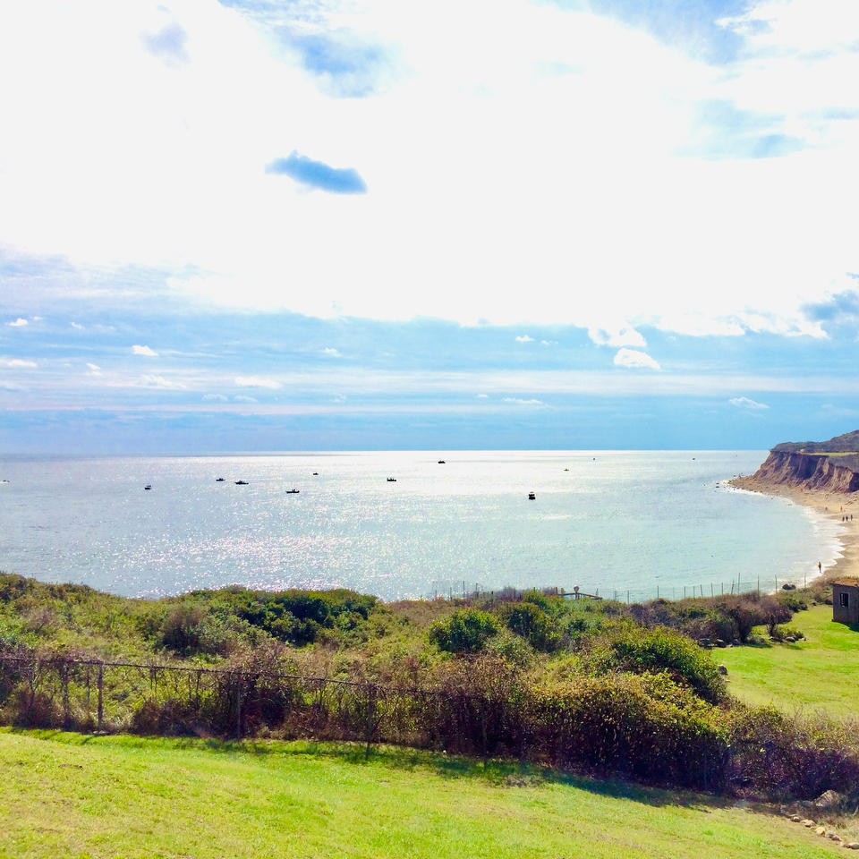 瓶中沙涵涵涵小厨