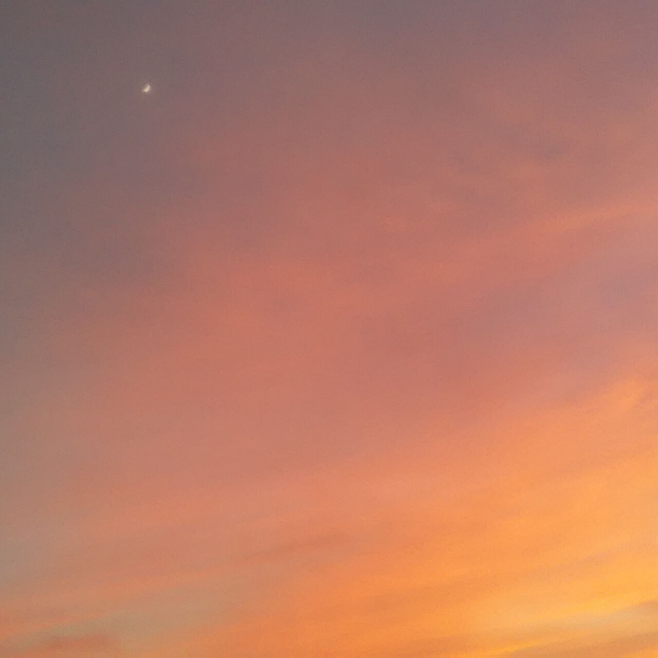 寻找味蕾的神奇