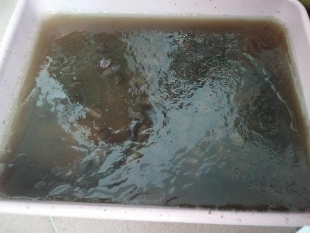 马蹄糕