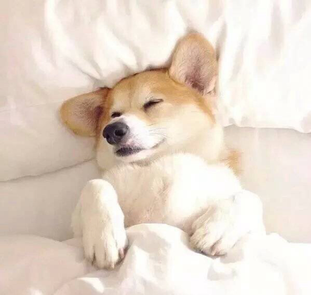 byebyeolddays_新生活走起