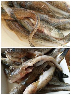 红烧杂鱼 ~鲶鱼的做法 步骤1