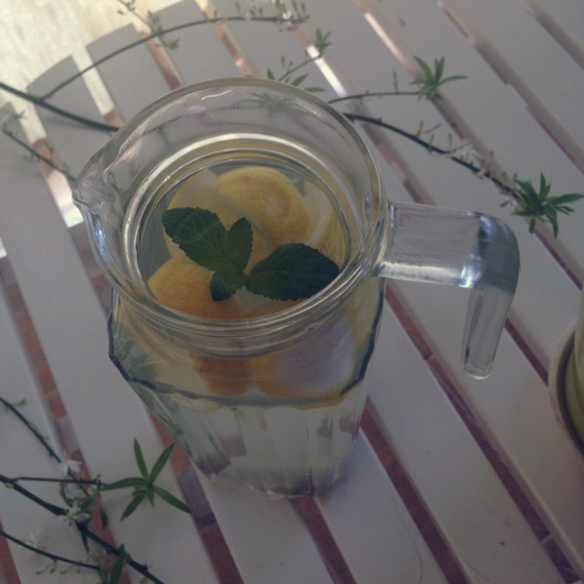 柠檬薄荷冰茶
