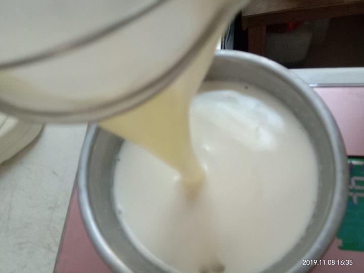 零失败懒人双皮奶🌸