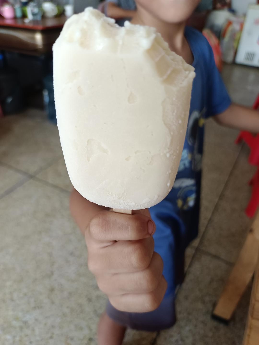 各种自制冰棒&雪糕&冰淇淋（持续更新）