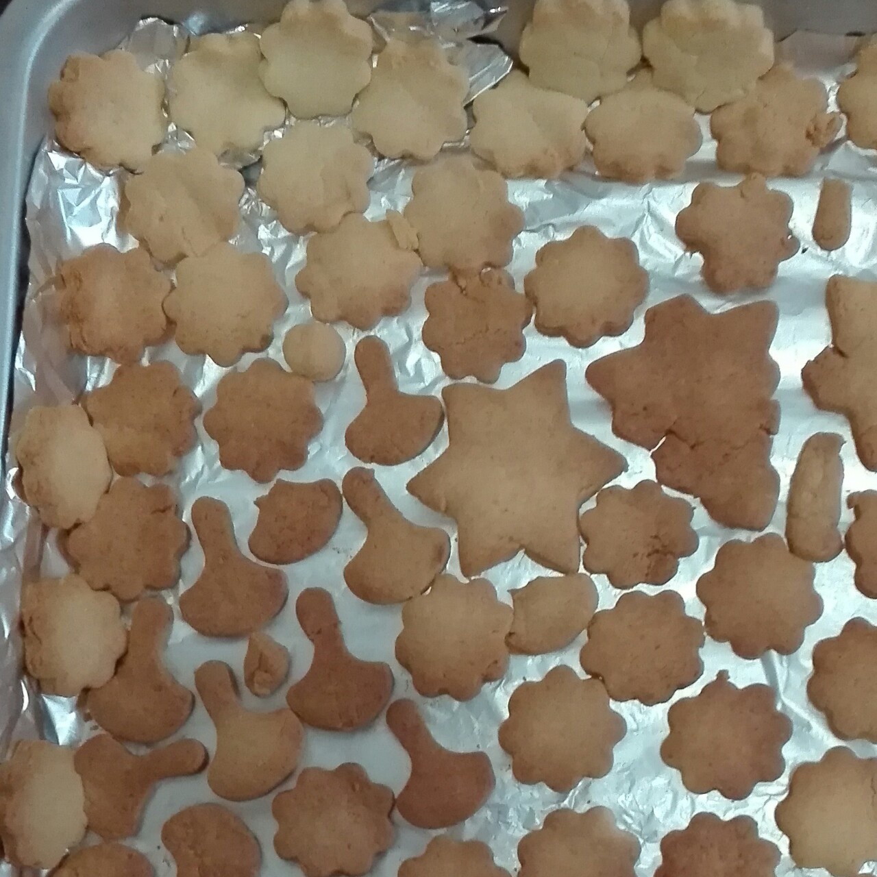 动物饼干