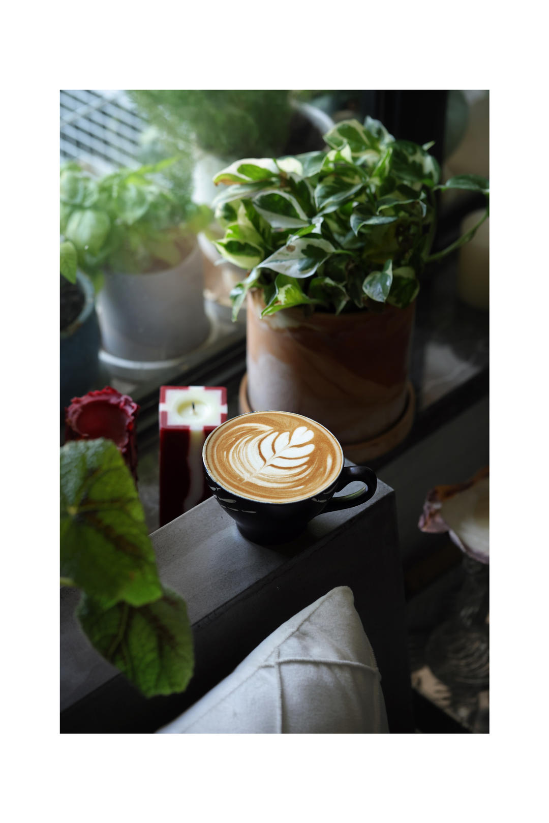 【东菱乐萃杯】柠檬桃子冰茶&茉莉蜜瓜咖啡