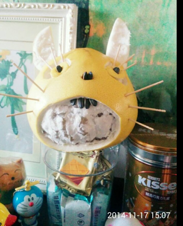 顽皮柚子龙猫