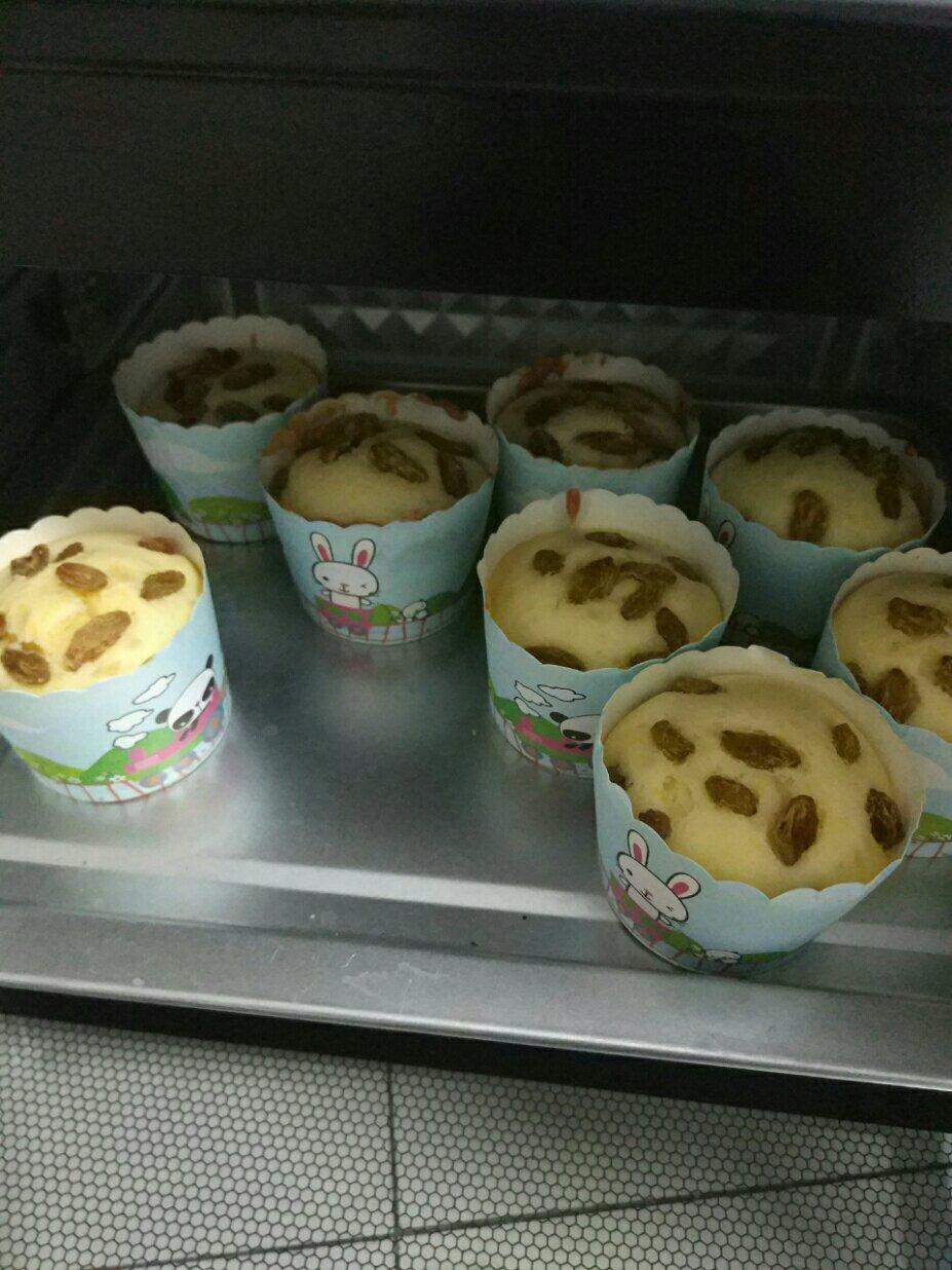 哈雷蛋糕