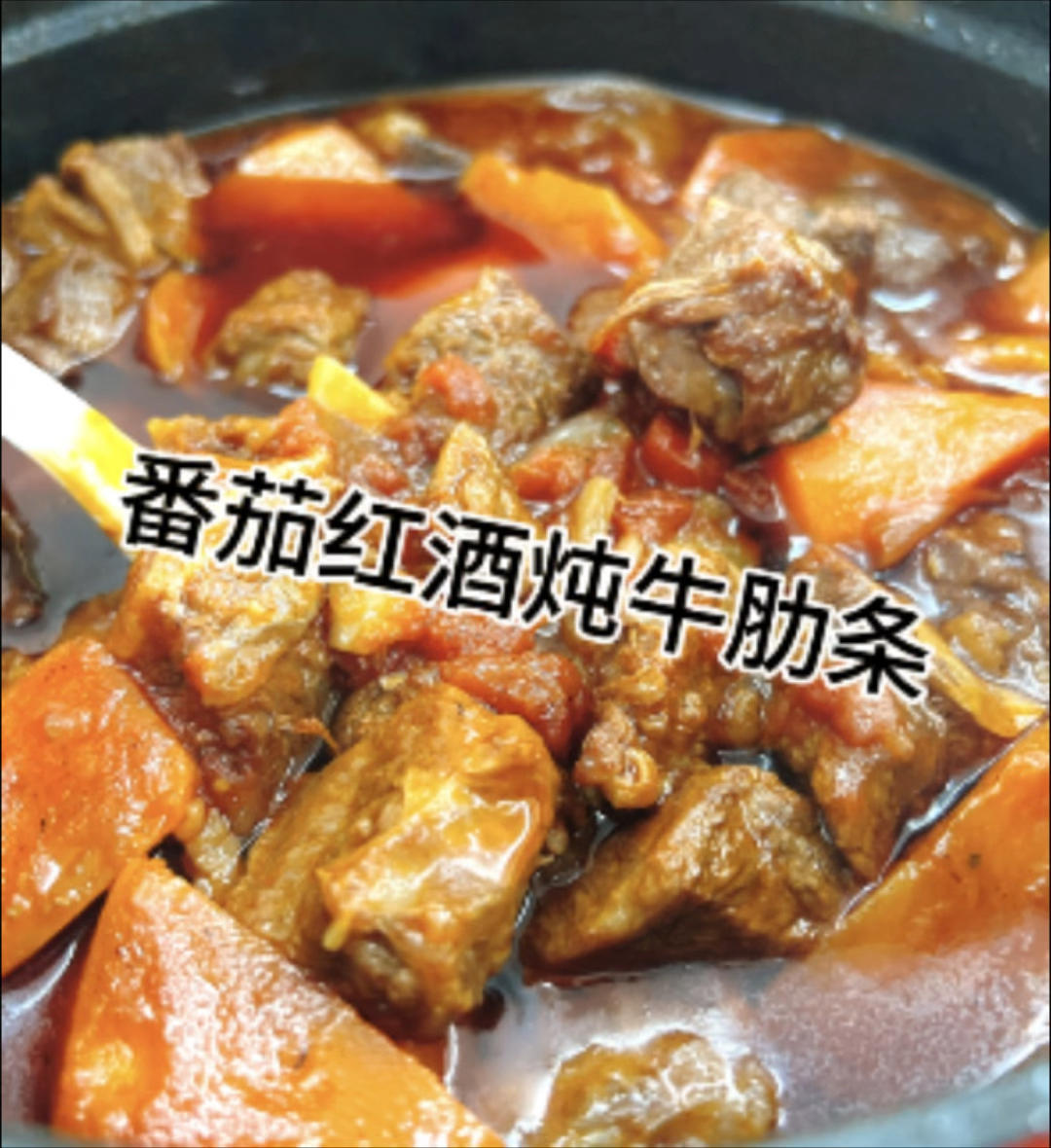 午餐•2023年11月4日