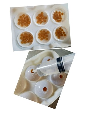珍珠水信玄饼的做法步骤图 怎么做好吃 池上落叶 下厨房 珍珠水信玄饼的做法步骤图 怎么做好吃 池上落叶 下厨房