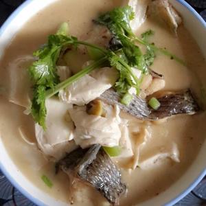 清炖柴鱼汤的做法 步骤1