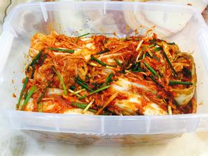 传统韩式泡菜的做法 步骤7