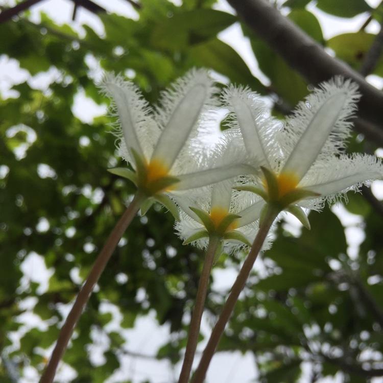 刘姥姥下厨房