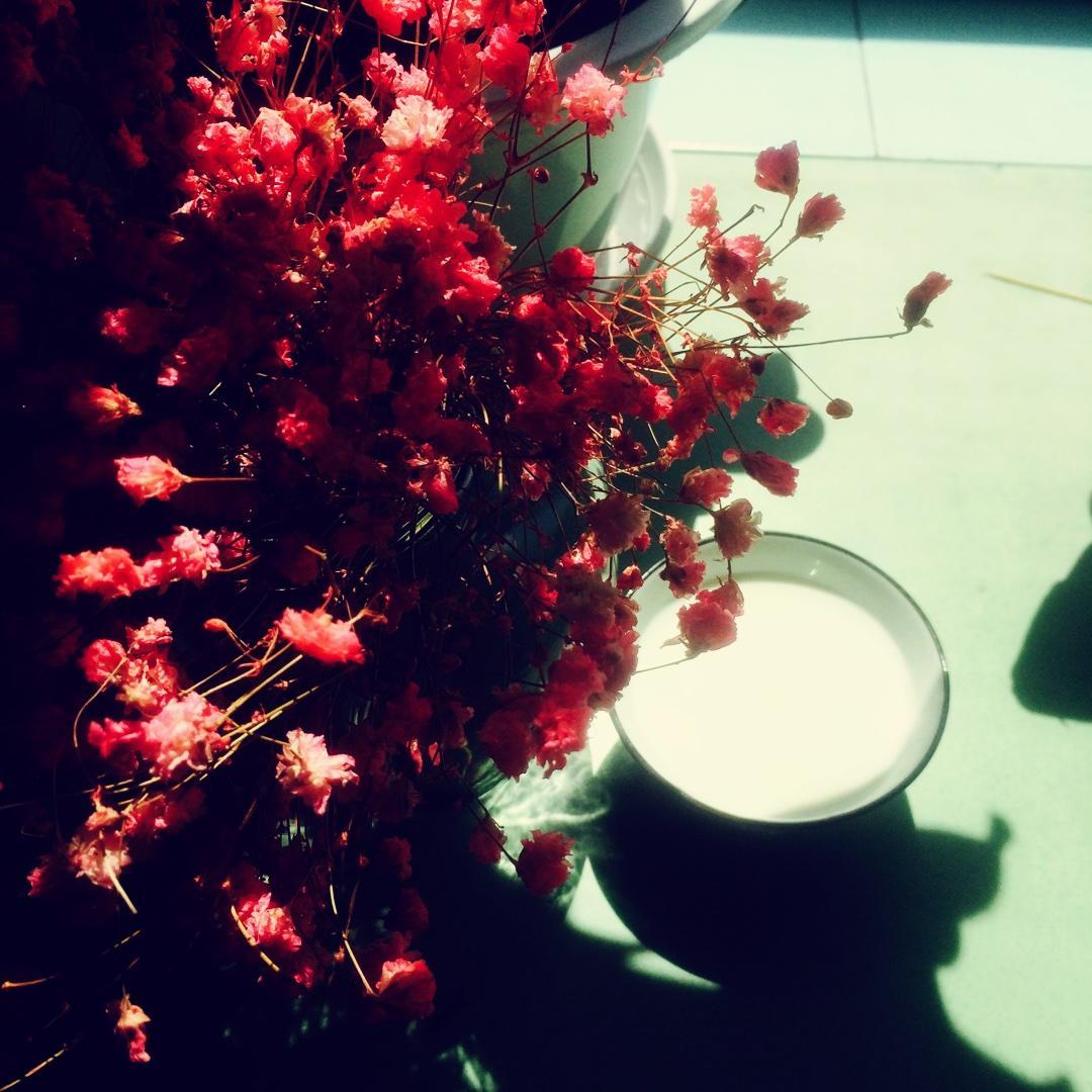 自制酸奶（蓝莓味）的做法