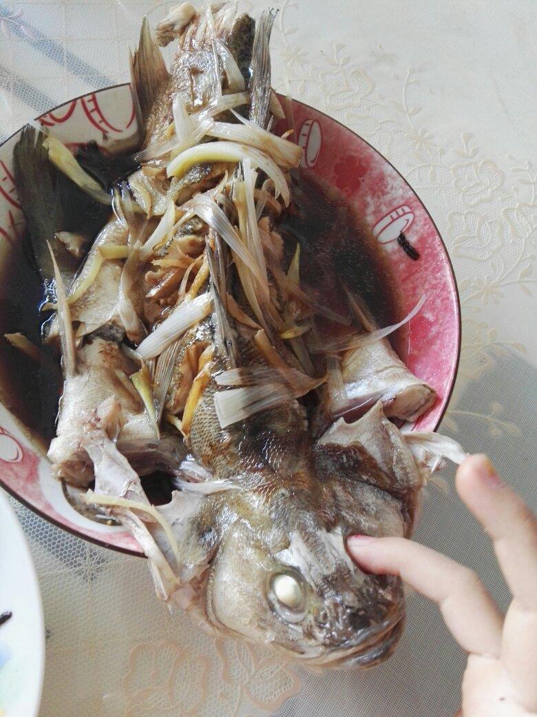 超入味清蒸鱼～清蒸鲈鱼桂花鱼（家常独创）