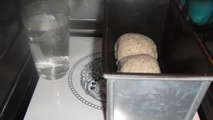 免揉+低温长时间发酵的BBA低脂全麦吐司的做法 步骤19
