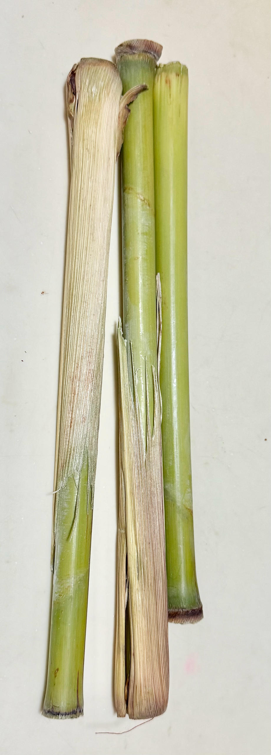 工作餐＋学生餐+一人食🍱🍱🍱