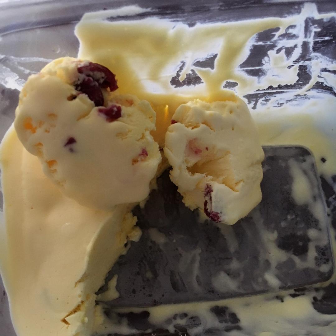 朗姆黑加仑冰淇淋 Rum Raisin Ice cream