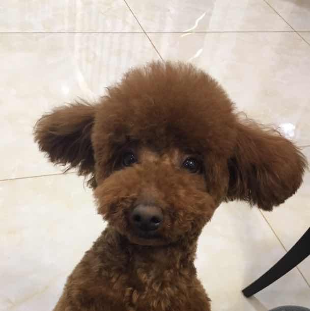 手机用户4228_snvw